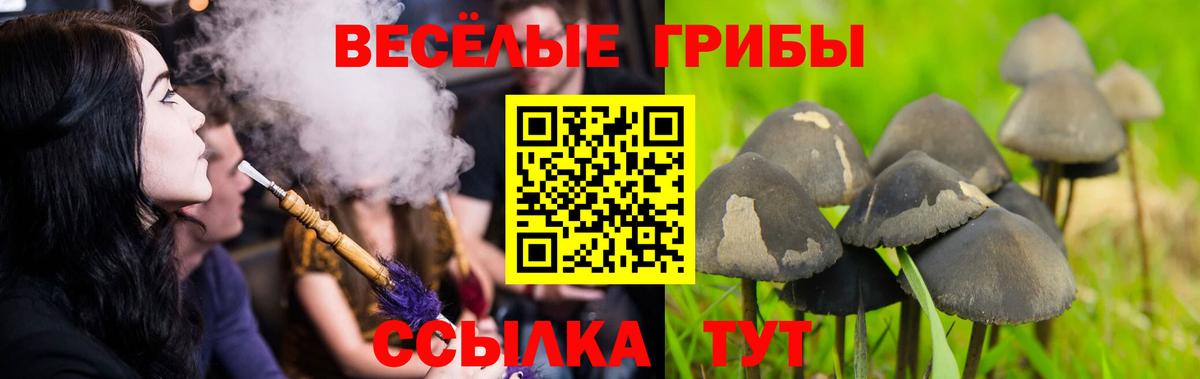 хочу наркоту  Галлюциногенные грибы мицелий  Вход с VPN  Тольятти 